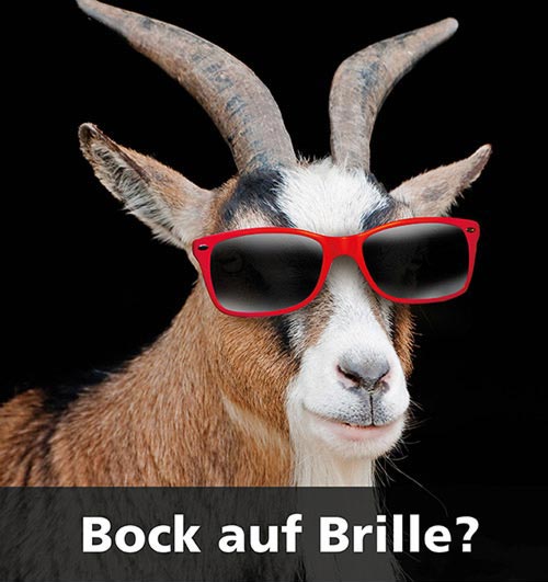 Bock auf Brille - Optiker Trier